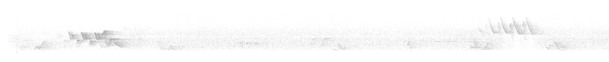 Magnolia Warbler - ML644571572