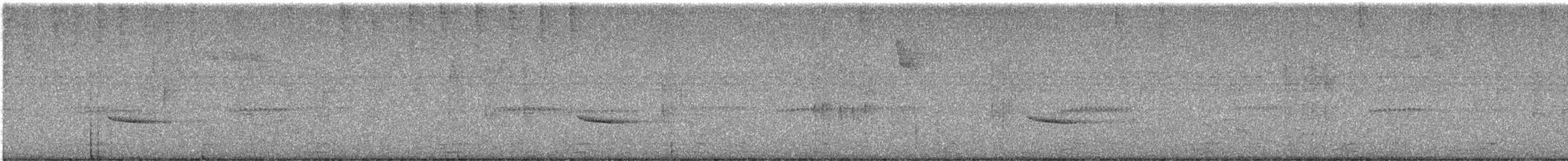 Hermit Thrush - ML644573066