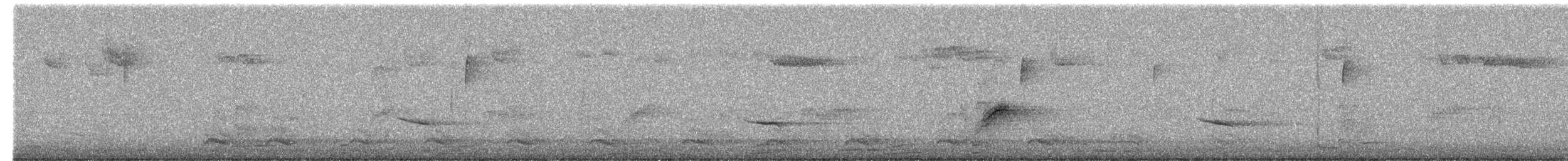 Hermit Thrush - ML644573070