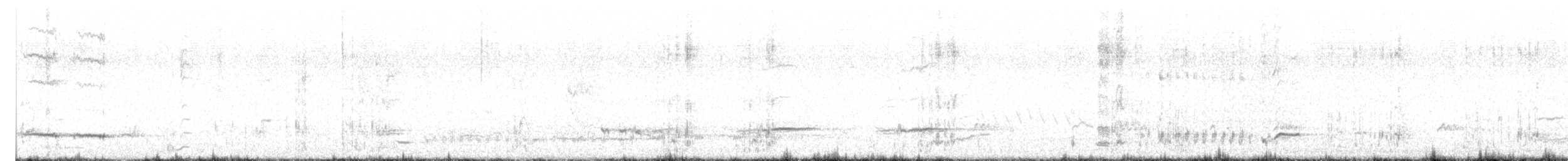 Медолюб-дзвіночок - ML644573229