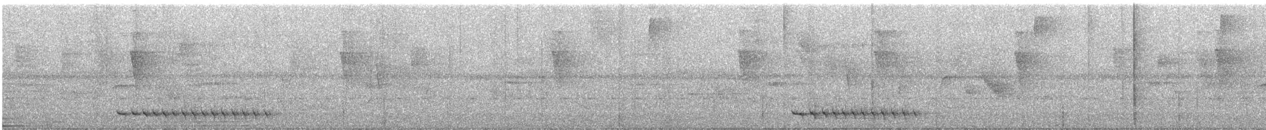 Thicket Antpitta - ML644574357