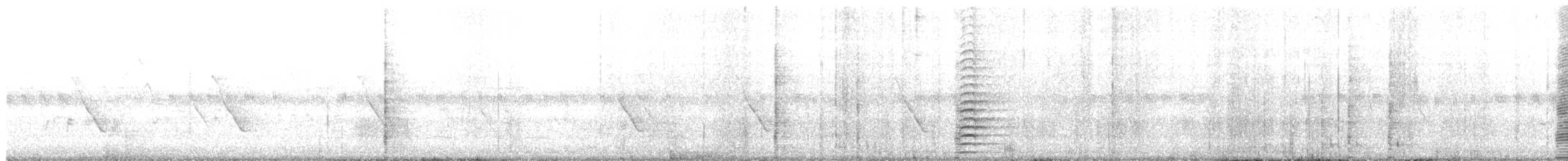 Indian Peafowl - ML644574457