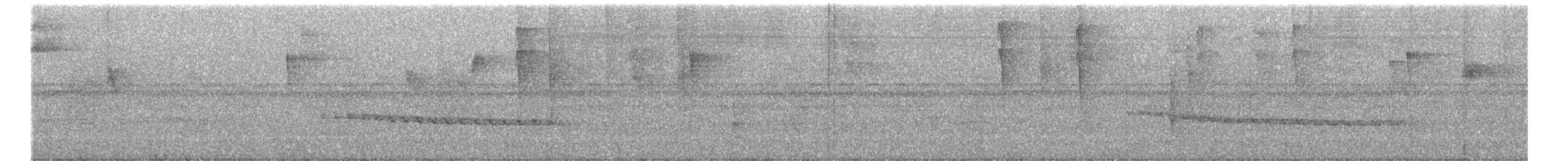 Long-billed Gnatwren - ML644574491