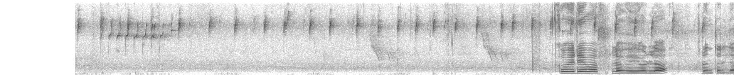 Bananaquit - ML644574644