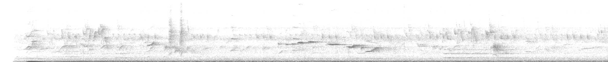 White-browed Fantail - ML644574886