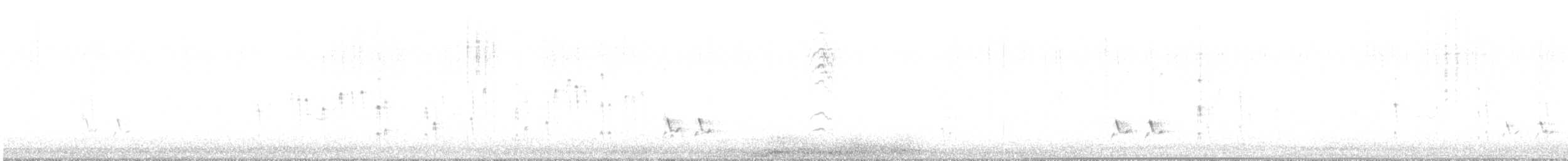 Méliphage orné - ML644574935