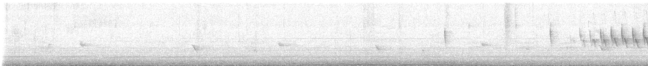 Setophaga sp. - ML644575320