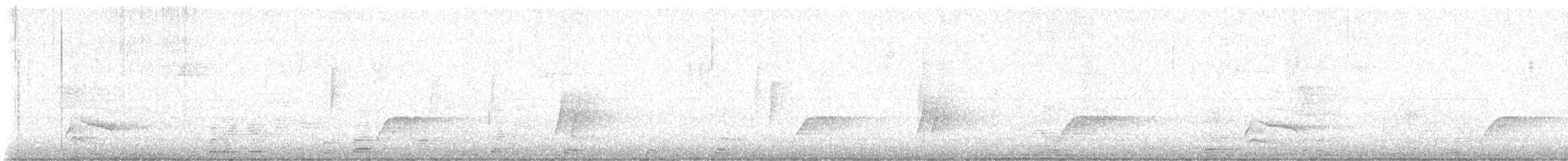 Ave sp. - ML644575570