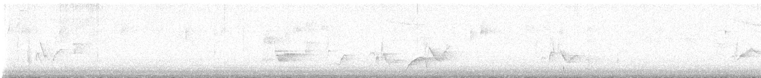 Ave sp. - ML644575625