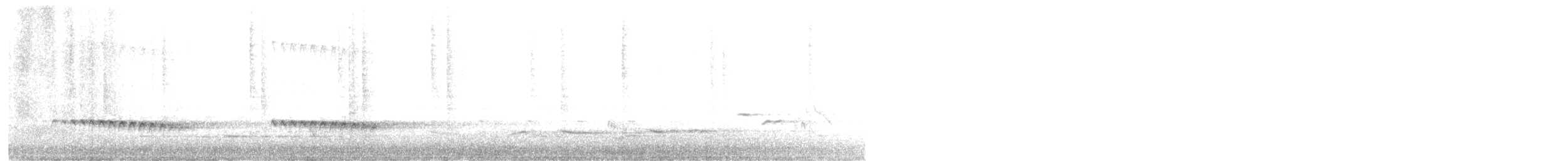 Cuco Flabeliforme - ML644575697