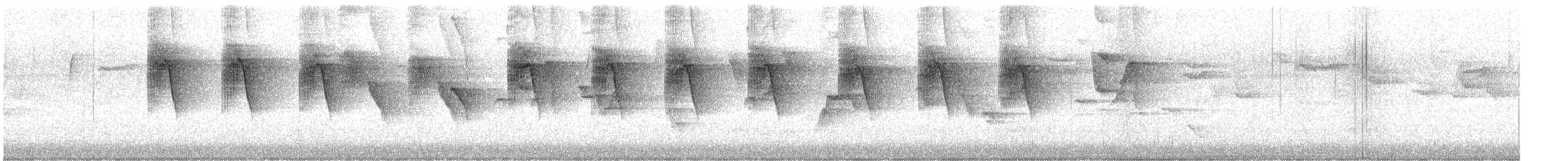 Sedosito Cejiblanco - ML644575771