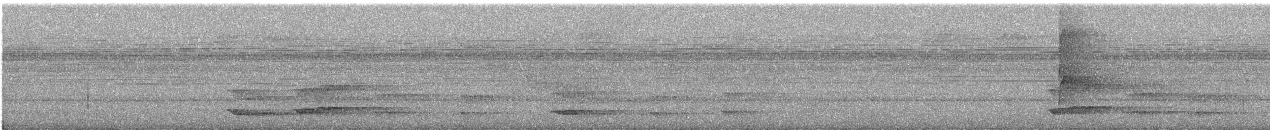 Tucán Pechigualdo - ML644575808