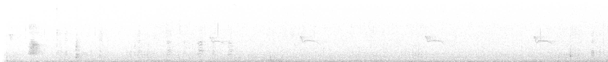 Acorn Woodpecker - ML644575964