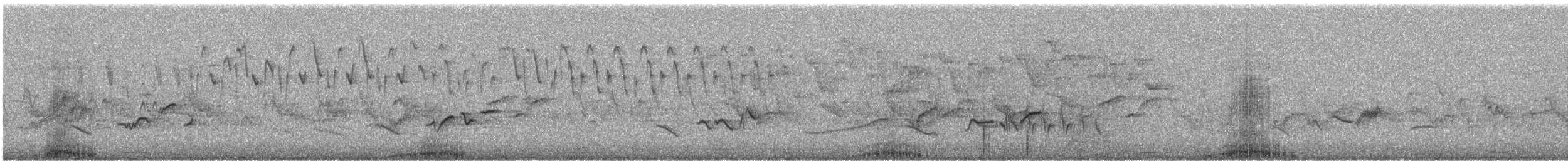 Búho Africano - ML644576060