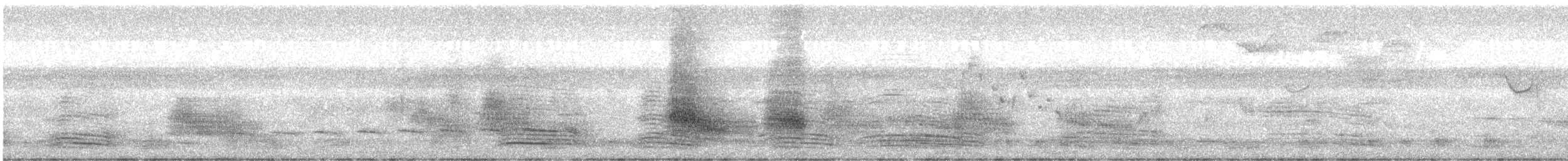 Cuco Pálido - ML644576062