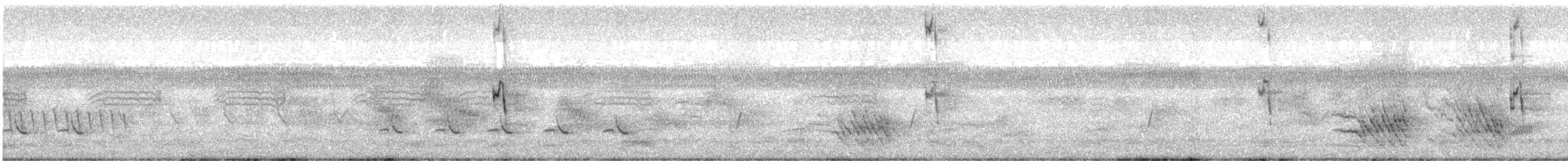 Buff-banded Rail - ML644576064