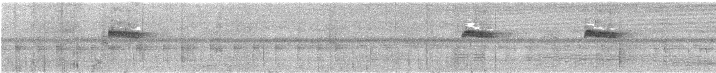 Manus Küçük Yalıçapkını - ML644576320