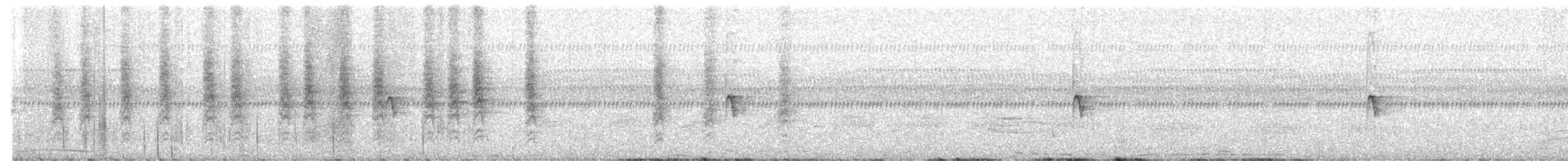 Slaty-chinned Longbill - ML644576330