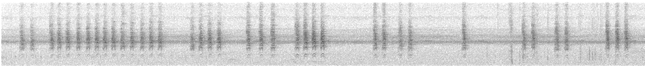Slaty-chinned Longbill - ML644576331