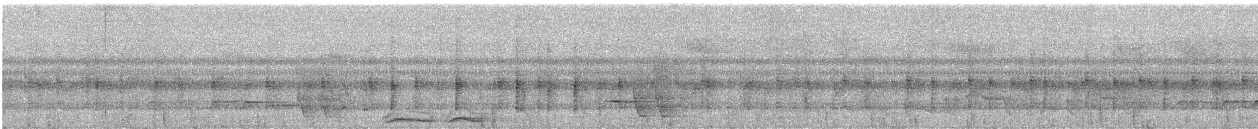 Muhteşem Pitta - ML644576354