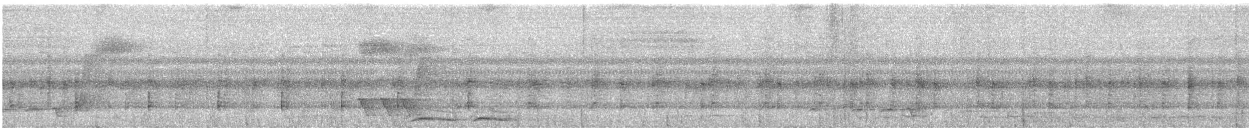 Muhteşem Pitta - ML644576355