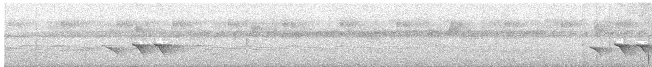 White-faced Robin - ML644576373