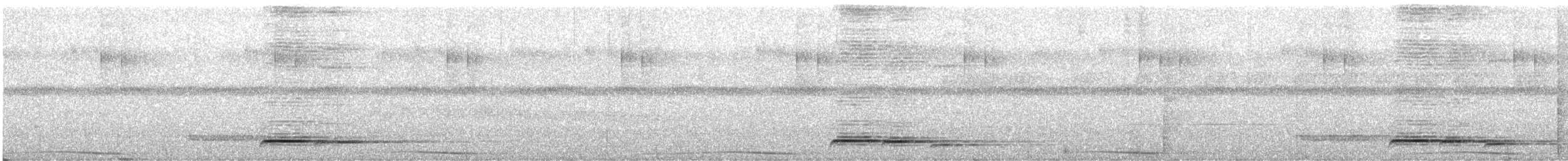 Ak Tepeli Kara Guguk - ML644576383