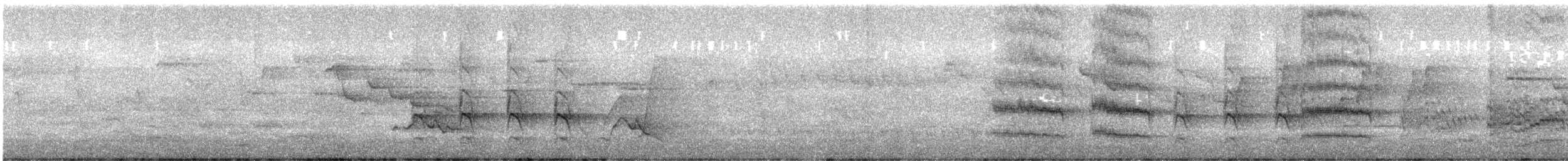 Kutsal Yalıçapkını (sanctus) - ML644576432