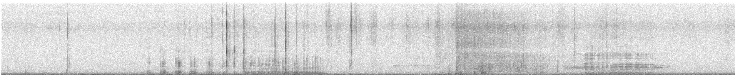 Australian Pelican - ML644576470