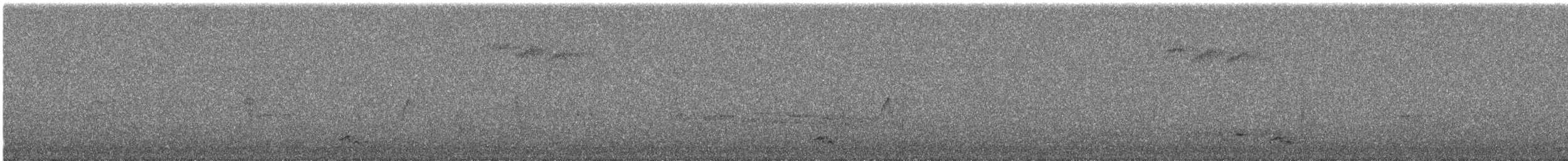 Chestnut-bellied Tit - ML644576488