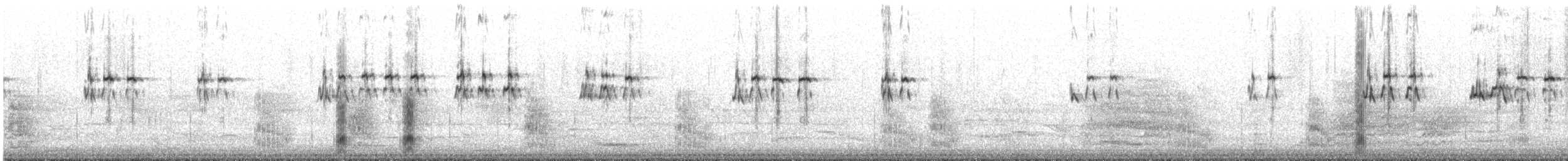 Great Crested Tern - ML644576883