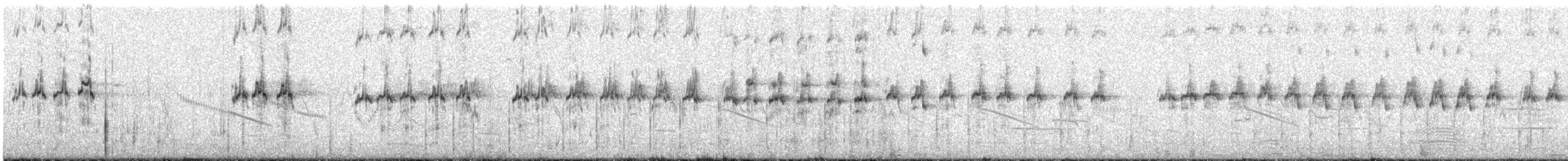 Great Crested Tern - ML644577004