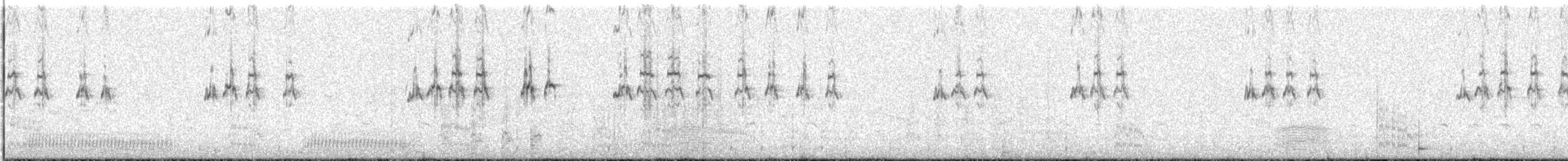 Great Crested Tern - ML644577050