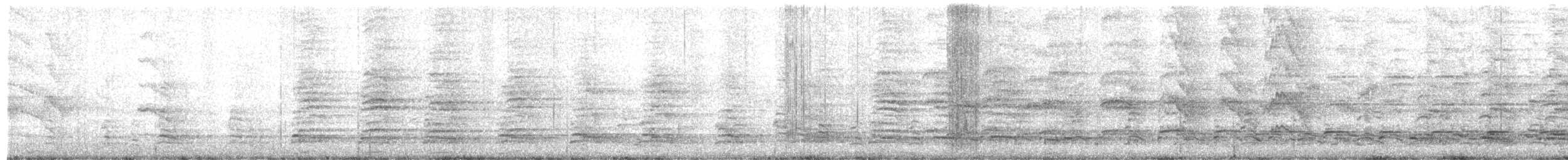 Red-naped Ibis - ML644577283