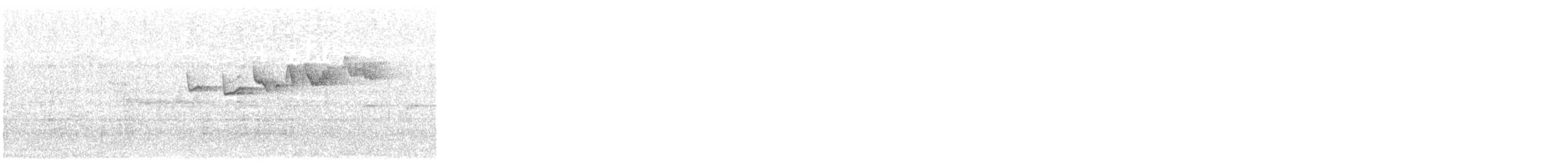 kortklotrekryper - ML644577343