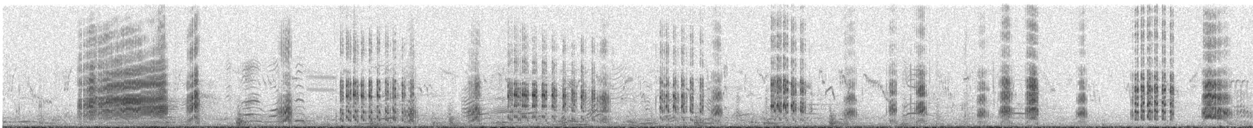 Great Crested Tern - ML644577434