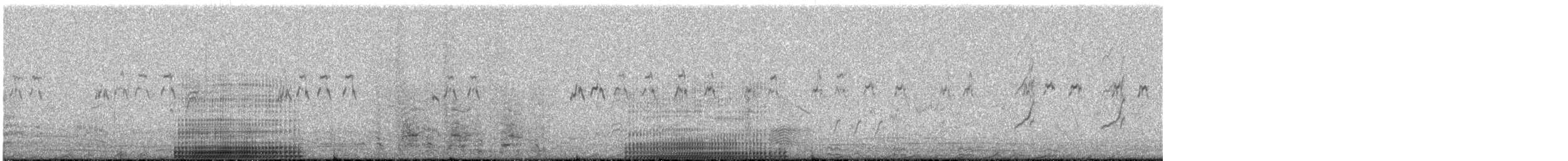 australiapelikan - ML644577503