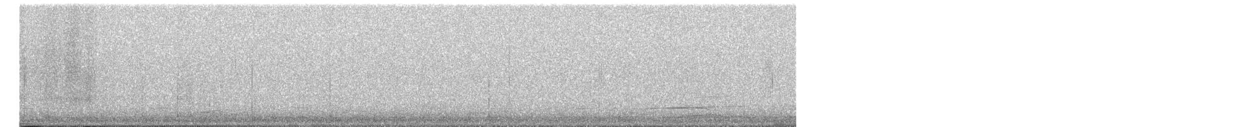 Éider Común - ML644577662