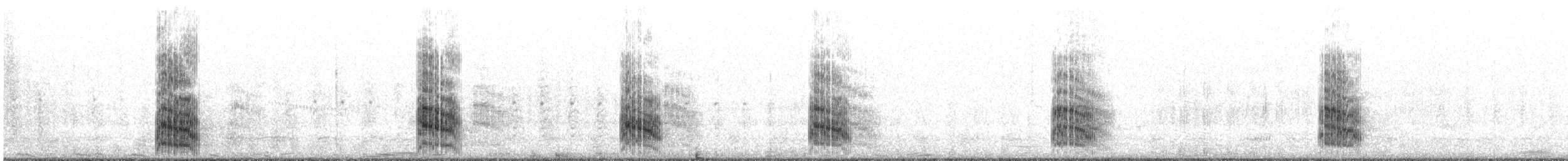 Great Crested Tern - ML644578403