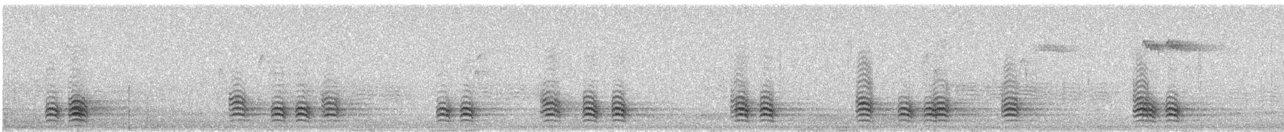 White-breasted Nuthatch - ML644578747