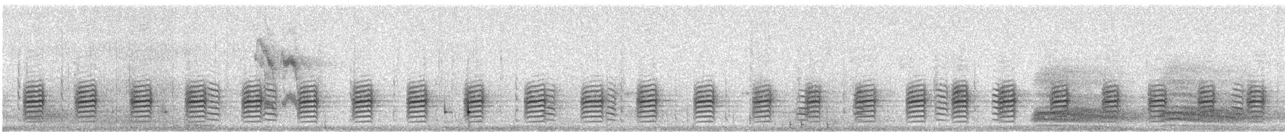 Red-breasted Nuthatch - ML644578752