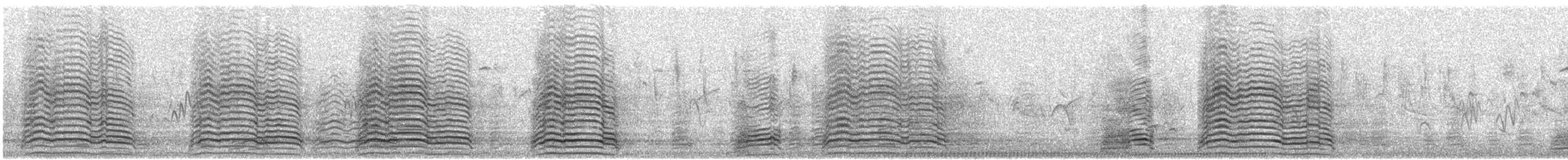 Hadada Ibis - ML644578758