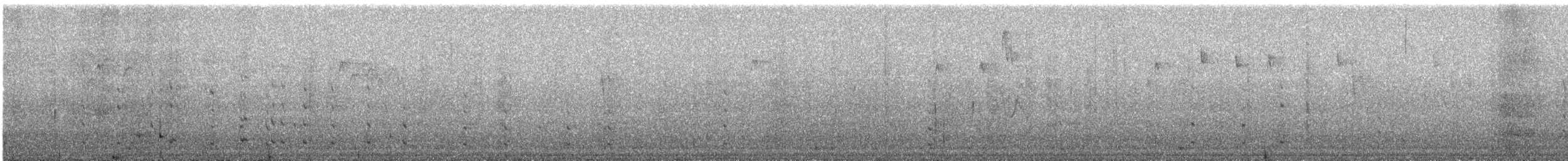 Guajolote Gallipavo - ML644578820