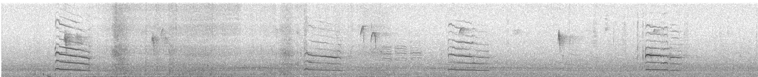 Chupasavia Norteño - ML644578821