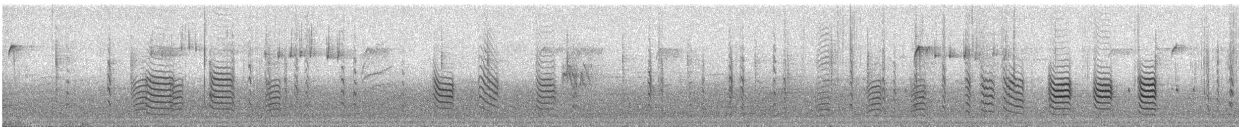 Red-breasted Nuthatch - ML644578829