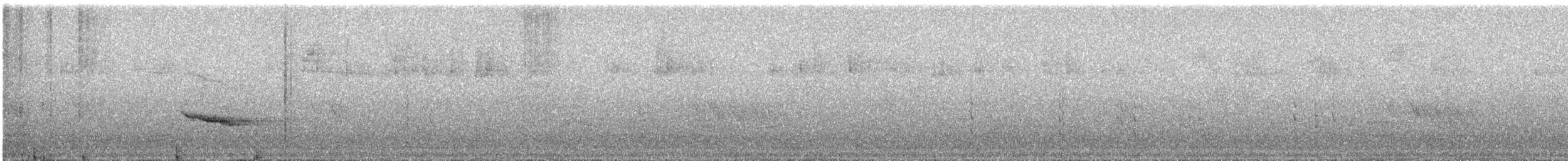 Hermit Thrush - ML644578905