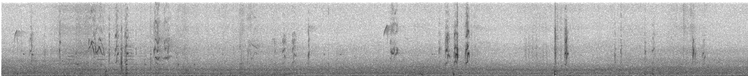 čížek severoamerický - ML644579072