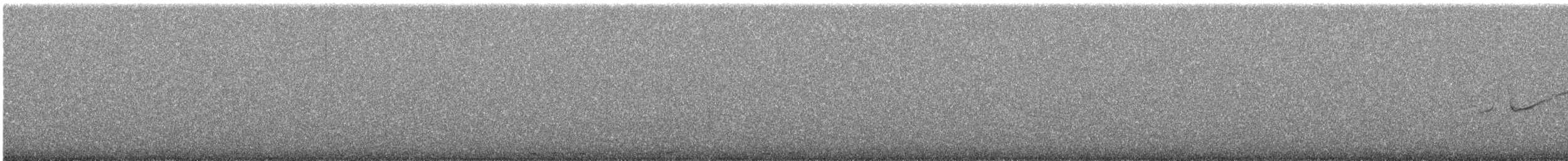 Band-winged Nightjar - ML644579521