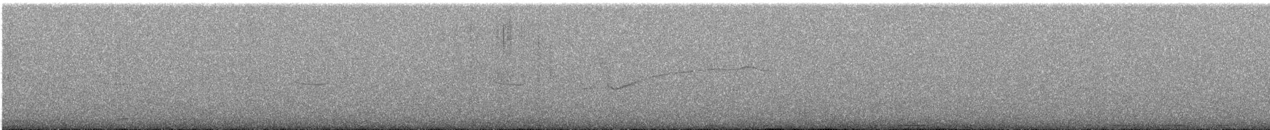 Band-winged Nightjar - ML644579525