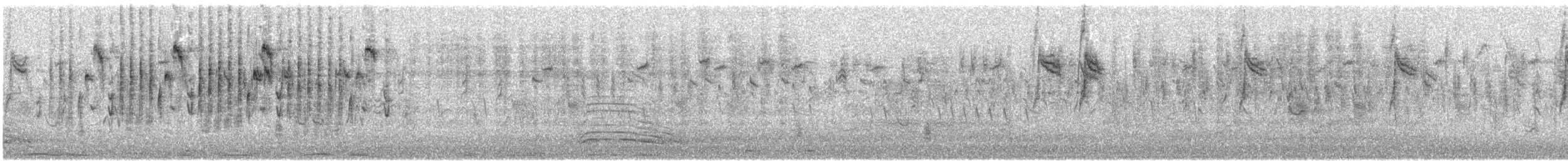 Southern Red Bishop - ML644579548